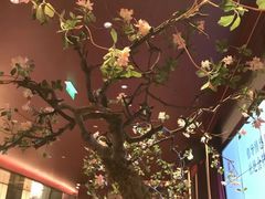 -俏江南天津时尚曲艺主题餐厅(马场道店)