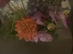 -浅深Cheersum(曹杨店)