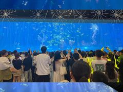 -华夏文旅西安度假区