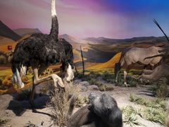 -国家自然博物馆