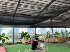 -麻涌飞鸭开心农场