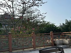 -海口万豪·大堂吧·望海吧.日落海景·下午茶·奶茶·咖啡·轻食·蛋糕·鸡尾酒·清吧