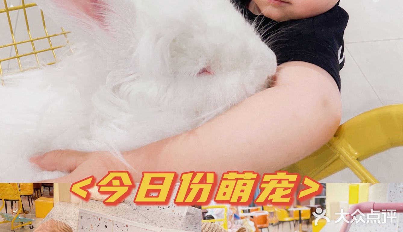 郑州探店｜打卡爱玩萌兔体验馆