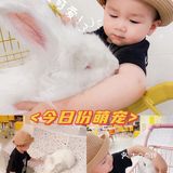 郑州探店｜打卡爱玩萌兔体验馆