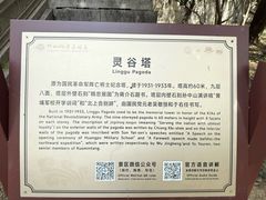 -灵谷景区