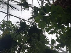 -北京植物园-展览温室