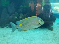 -鸿通城购物中心