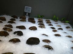 -盒马鲜生(杭州运河上街店)