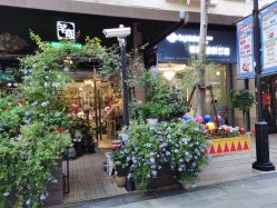 -菩羽·专业美胸·连锁养护中心