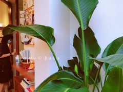 -Line 咖啡(石厦花园店)