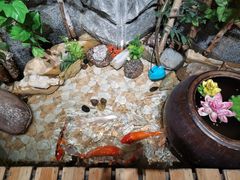 -秋香家韩式炭火烤肉(磐石路店)