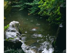 -灵隐飞来峰景区