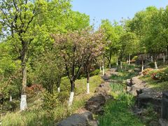 -铁山坪森林公园