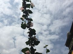-水磨古镇