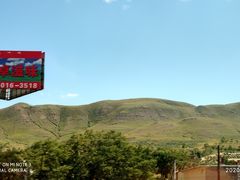 -张金涛熏鸡(人民南路店)