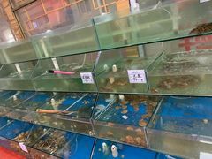 水产区-雅逸居海鲜小厨