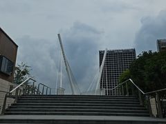 -映月湖中央公园
