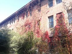 -清华大学-观畴园餐厅