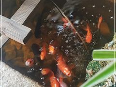 -冯记白土岗辣子鸡