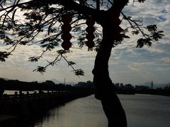 -安平桥