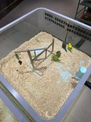 -meland亲子乐园·派对·研学(淄博万象汇店)