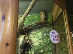 iphone_upload_pic-上海大自然野生昆虫馆