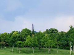 -北坞公园