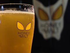 -蜜和麦精酿啤酒吧honey&malt(桐梓林店)