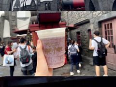 -北京环球影城主题公园-停车楼