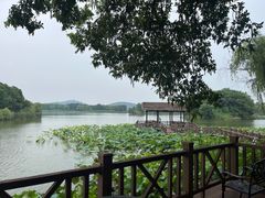 -上海市保健医疗中心