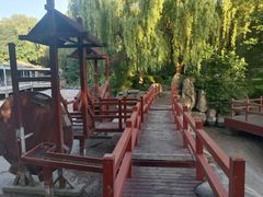 -唐城墙遗址公园