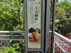 -佛山华盖山公园