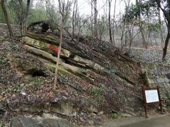 -镇江市南山风景名胜区竹林景区