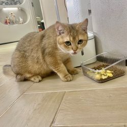-隅日式美甲美睫專門店