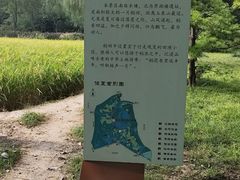 -北坞公园