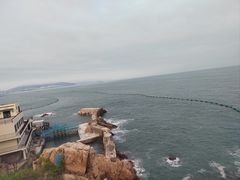 -小麦岛公园