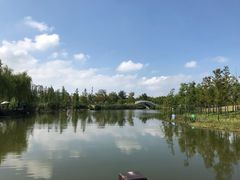 -上海长兴岛郊野公园