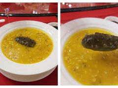 燕麦炖辽参-都市阳光海鲜城(青山湖店)