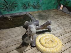 -石家庄市动物园