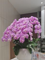 -奥本瑜伽·普拉提