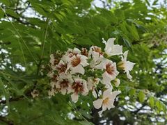 -北京石刻艺术博物馆(五塔寺)