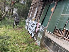 -巴倒烫陆派火锅山庄(南山总店)