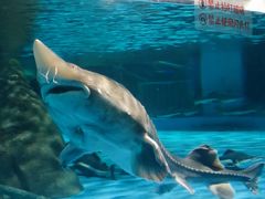 -常州海昌海洋探索馆