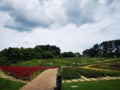 -保利石象湖景区