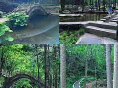 -洛阳白云山景区