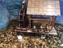 -酷嗒动物文化乐园(cutezoo西溪乐天城店)