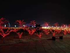 -大连星海广场音乐喷泉