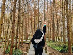 -桤木河湿地公园