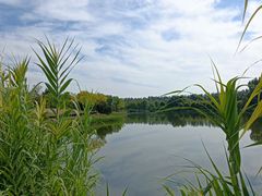 -东郊湿地公园