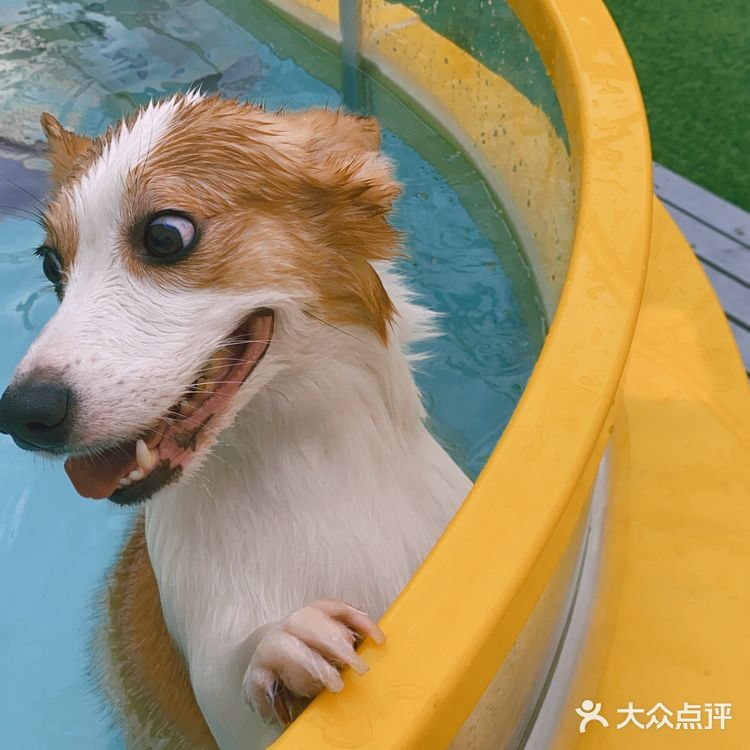 特别是新造了全透明的泳池
